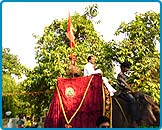 Haryana Arya Veer Mahasammelan, 2008 - Arya Veer Dal Delhi Pradesh