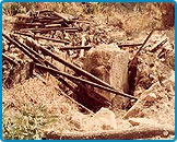 Uttarkashi Earthquake, 1991 - Arya Veer Dal Delhi Pradesh