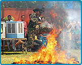Annual Training Camp, 2009 - Arya Veer Dal Delhi Pradesh